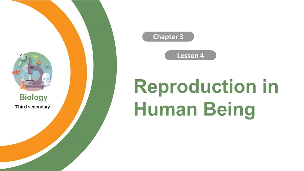 Unit 1 Chapter 3 Lesson4 Reproduction In Human Being YouTube unit-1-chapter-3-lesson4-reproduction-in-human-being-youtube