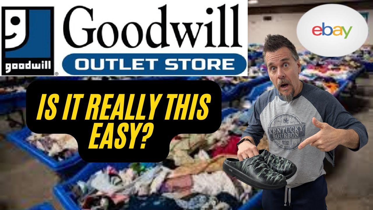 Goodwill Bins Haul: Turning Cheap Inventory Into Big Profits! - YouTube