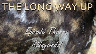 The Long Way Up | Episode 3: Shingwedzi | Kruger National Park