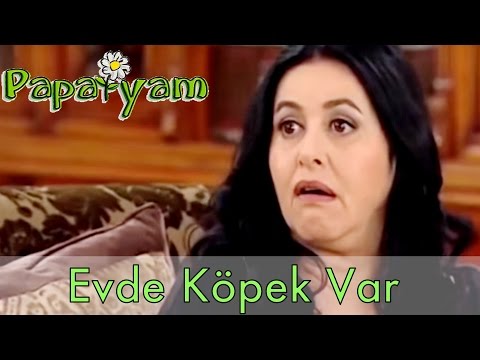 Papatyam 20.Bölüm - Necati Eve Köpek Getiriyor