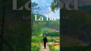Cầu treo La Bá - Đà Lạt #shorts #trekking #dalat #cautreolaba