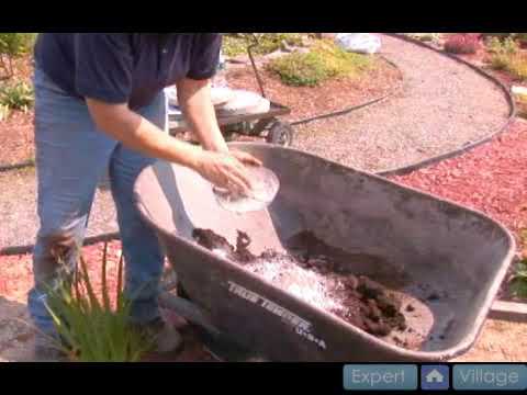 How To Mix Soil For A Black Eyed Susan