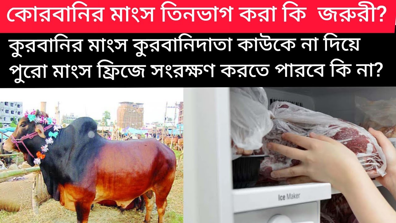 কোরবানির মাংস ৩ ভাগ না করে পুরোটা নিজে খাওয়া যাবে কি? Kurbani‼️kurbani bonton..