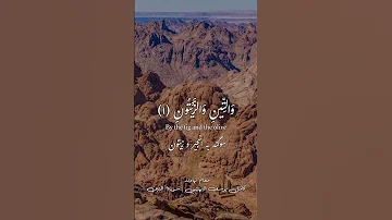 والتين والزيتون كامل يوسف البهتيمي سورة التين مقام نهاوند مقام النهاوند البهتيمي قران كريم 