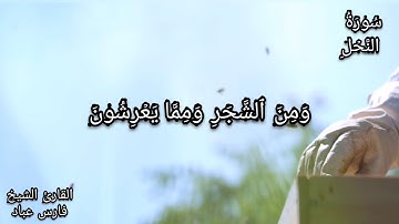 سورة النحل #فارس عباد #  الآيات 68-69