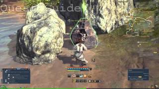 Blade And Soul Finding Metal Samples