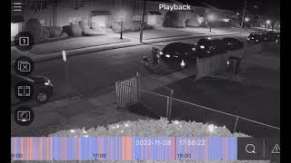 Hackensack Dog Attack