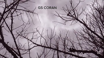 سورة الانفطار الشيخ عبد النور رحيم