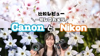 【一眼比較】CanonとNikonメーカーによって何が違う？Nikon歴8年の私がCanon使って感じたこと3つ！