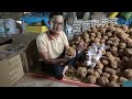 The Coconut Ball Toy is crafted from sustainably sourced 100% Natural Coconut Husk