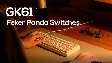 GK61X Chill Typing Sounds ASMR | Feker Panda Switches | XDA Profile Keycaps