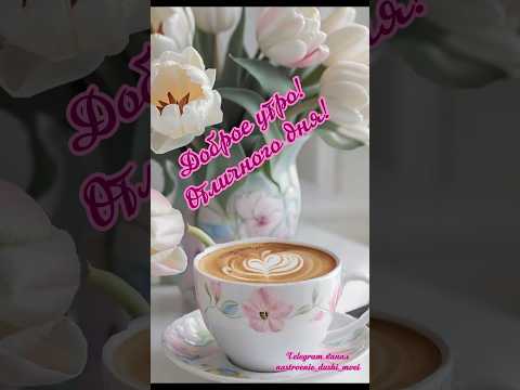 #доброеутро #длявасдрузья #цветы #видеоролики #музыкальнаяоткрытка #доброеутрооткрытки