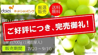 岡山県産　シャインマスカット（晴王）1房 （約700ｇ以上）