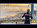 【4K】WALK La Barra 2021 TOWN & BEACH Uruguay 4k video TRAVEL UY