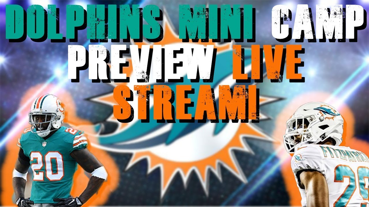 Miami Dolphins Mini Camp Preview Live Stream! YouTube