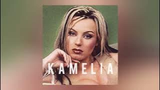 Камелия - Така Ми Липсваш (Kamelia - I Miss You So Much)   TEXT #ovojebalkan #kamelia #retrochalga