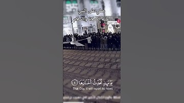 سورة الزلزله بصوت القارئ مصطفى  شريف