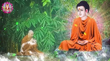 HỌC CÁCH TĨNH TÂM thì trí tuệ càng cao để cuộc sống thanh thản giác ngộ