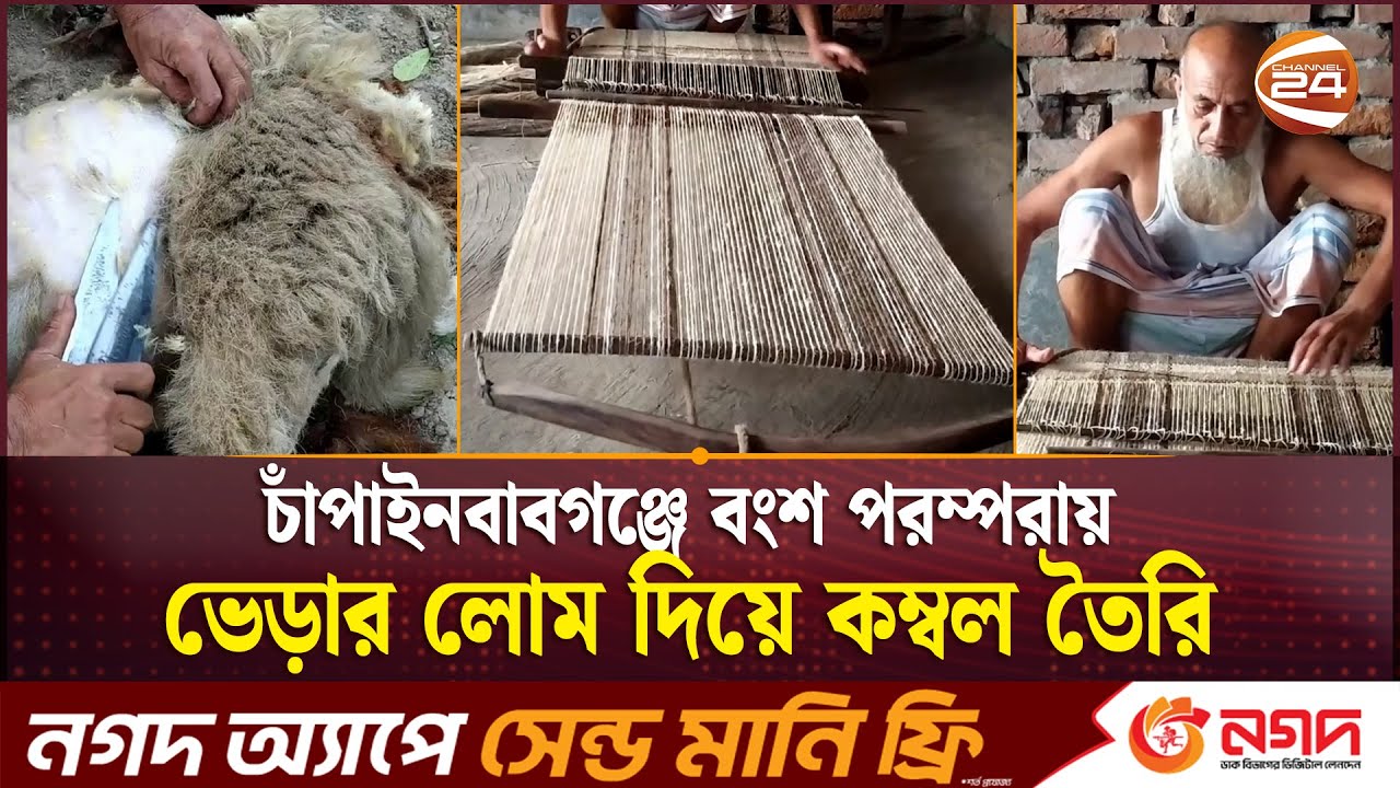 ঐতিহ্য হারাতে বসেছে ভেড়ার লোমের দেশি কম্বল | Fleece Blanket | Chapainawabganj | Channel 24