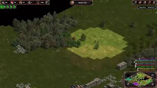 TsuyoFarmer's Adventure on Age of Empires Definitive Edition