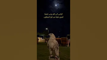 الراعي الي كان يرعى غنمنا اصبح علينا من كبار المعازيب 