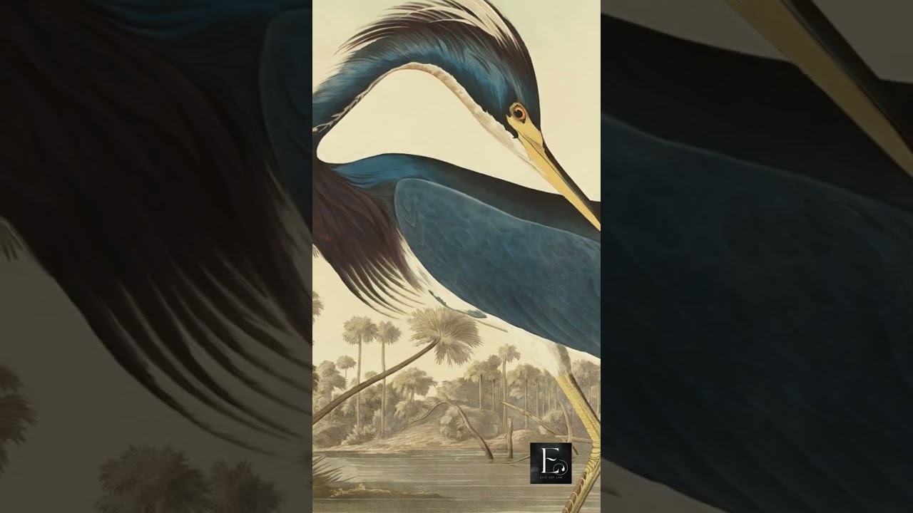 The Heron That Owns the Room