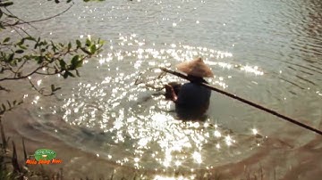 Kí ức những món ngon từ con tép muỗi quê nhà - Đặc sản miền sông nước