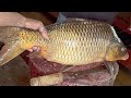 Amazing Big Carp Fish Cutting Skills Live In Bangladesh | Fish Cutting Skills