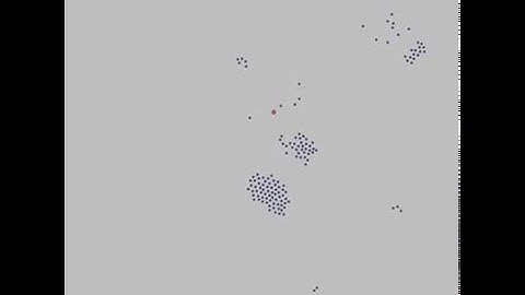 Boids movement with predators