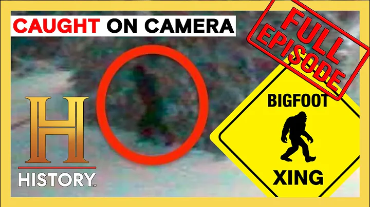 13 Bigfoot Sightings You Have to See to Believe | The Proof is Out There | Compilation | History