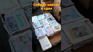 Сколько можно заработать денег на картоне