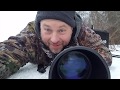 Wildlife Photography Pro Tips #1--Winter Wildlife!