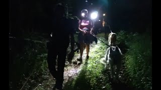 Cani nocturne du 10 juin 2022