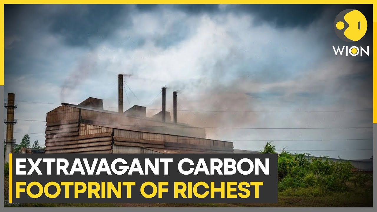 Causes & consequences of carbon inequality | World News | WION