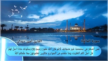 سورة المائدة الصفحة {1} بصوت القارئ أمين ديدان