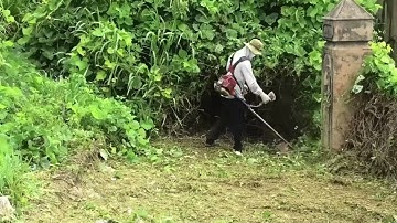 Shocking | Giant Anaconda Python Attacked us when Cleaning the Abandoned House | Clean Up