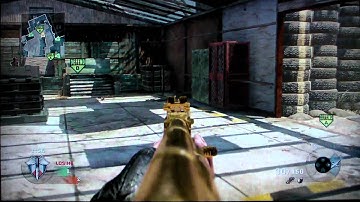 Black Ops: Search and Destroy on Firing Range: 22 Kills and 2 Deaths (Gold AK47)