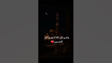 اسلام صبحي تلاوة تريح القلب #quran #قرآن #قران_كريم #راحة_نفسية #تلاوة_خاشعة