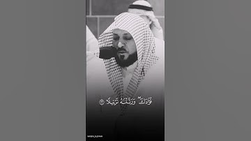 #تلاوة_هادئة #اكتب_شي_تؤجر_عليه #سورة_الفرقان #القارئ_ماهر_المعيقلي #حفظه_الله 🌿🩶