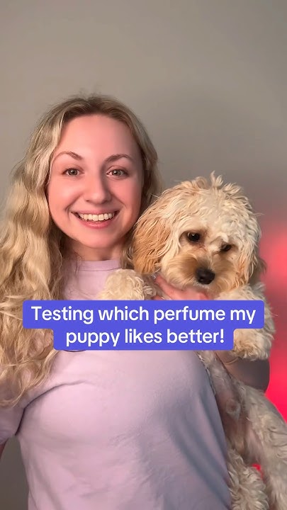 Can Puppies Smell Perfume ad dossierpartner dossierperfume can-puppies-smell-perfume-ad-dossierpartner-dossierperfume