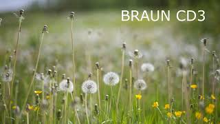 BRAUN CD3 vs PHILIPS CD650