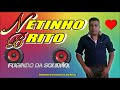 NETINHO BRITO FUGINDO DA SOLIDÃO compositor jose mauricio e joaão marcos