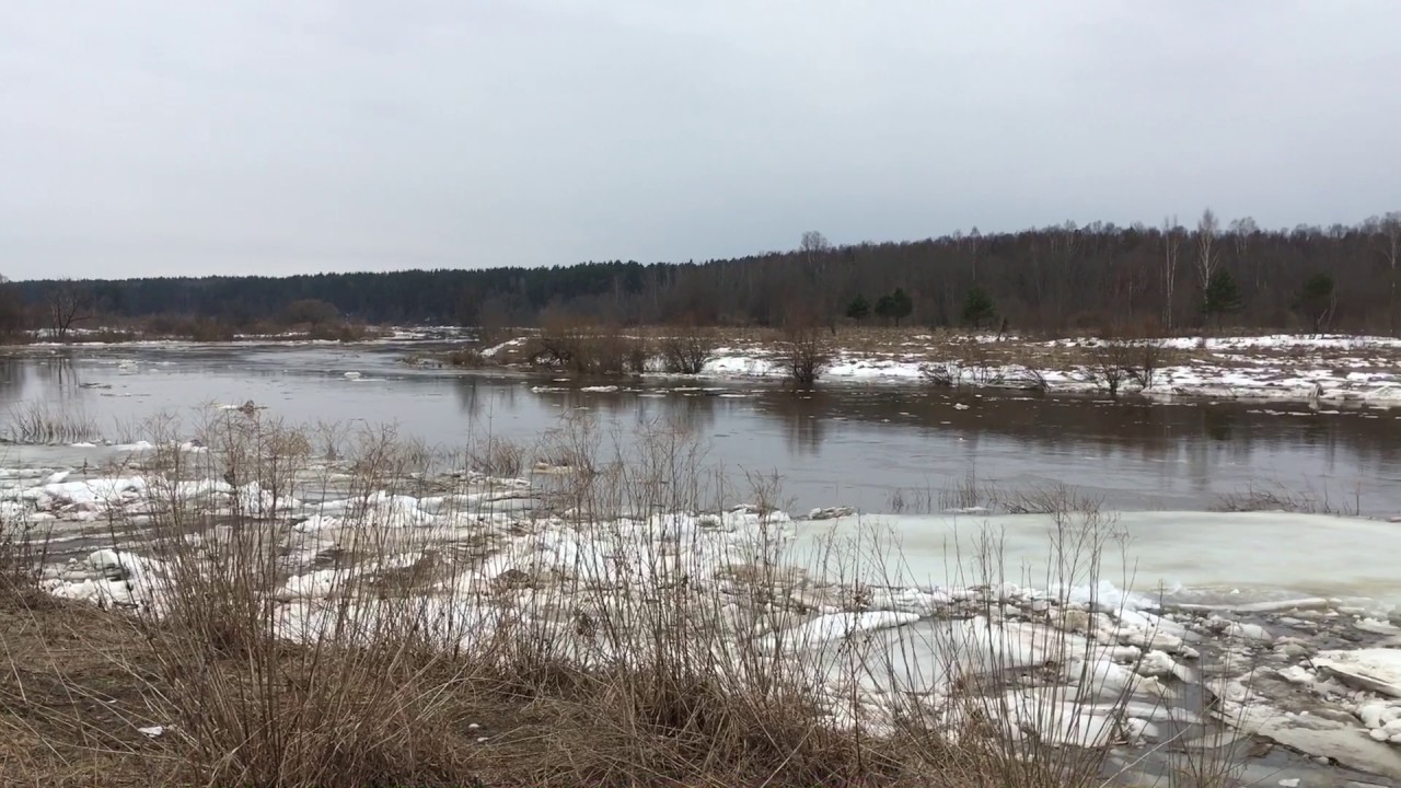 Разлив реки угра. Разлив Угра Товарково. Угра 23 разлива. Разлив угры. Угра половодье.