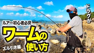 小物釣りのはずがワームに大物がHITしてドラグが止まらねぇ！！【初心者】