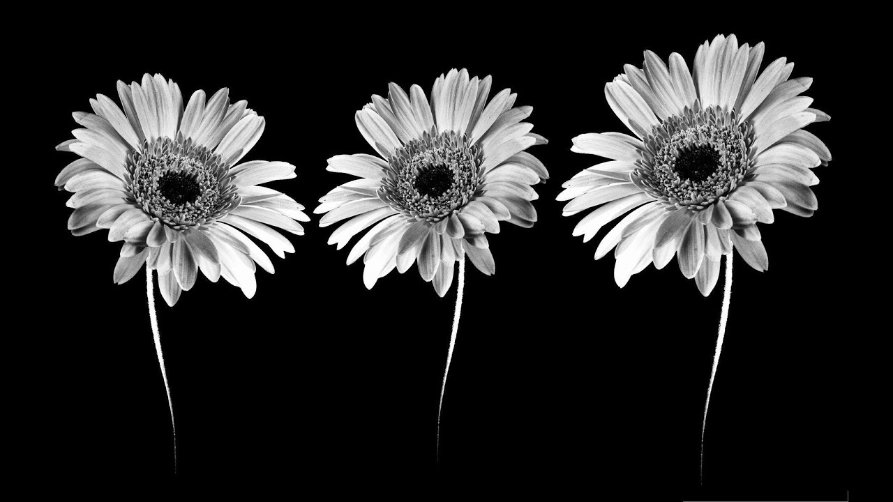 𝐘𝐎𝐔 𝐂𝐀𝐍𝐓 𝐃𝐎 𝐀𝐍𝐘𝐓𝐇𝐈̇𝐍𝐆