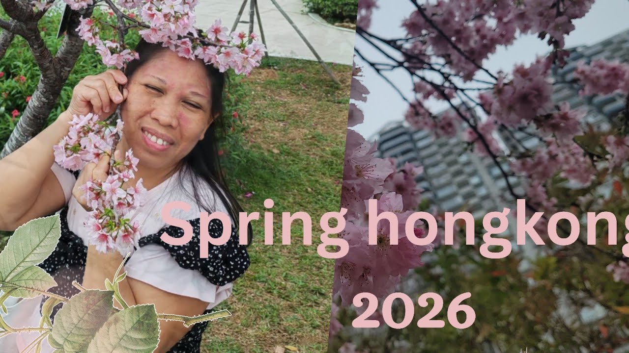 Ранняя весна, весенние цветы, цветение, Гонконг, 2026 год.