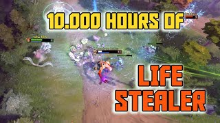What 10000 hours of LifeStealer look like