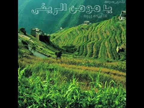يا مومن الريفي بدون موسيقى حصريا بجودة ممتازة شيلات بدون موسيقى محمد بن فطيس