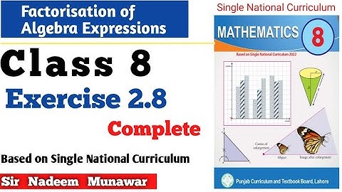 Class 8 Exercise 2.8 SNC PCTB Maths Ex 2.8 Algebra Factorisation  in Urdu Hindi Sir Nadeem Munawar