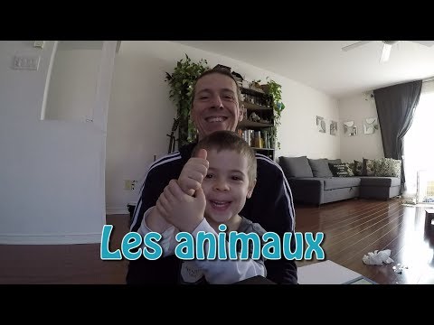 Vidéo: Comment Trouver D'excellentes Informations Vétérinaires En Ligne (et Une Liste Des Choses à Faire Et à Ne Pas Faire Sur La Santé Des Animaux De Compagnie)